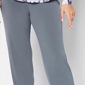 Susan Graver Pewter Modern Essentials Pants. Never worn